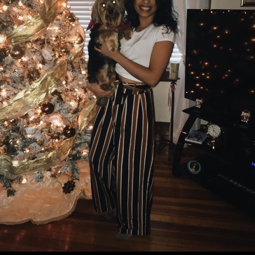 Brown Striped Pants